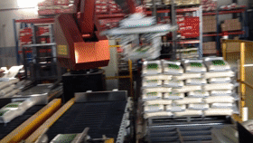 搬運(yùn)碼垛機(jī)器人